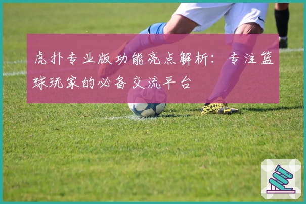 虎扑专业版功能亮点解析：专注篮球玩家的必备交流平台