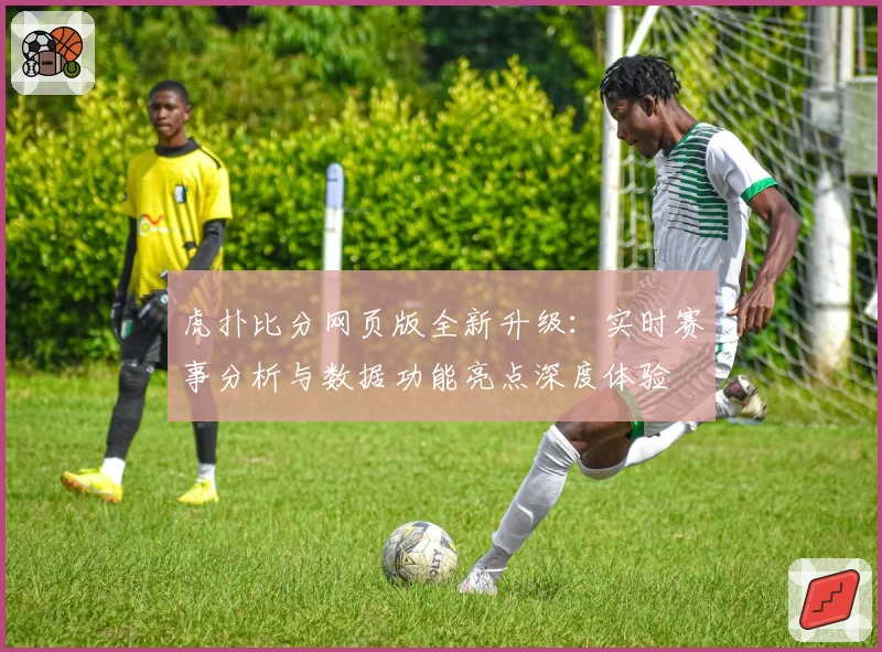 虎扑比分网页版全新升级：实时赛事分析与数据功能亮点深度体验