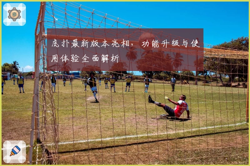 虎扑最新版本亮相，功能升级与使用体验全面解析